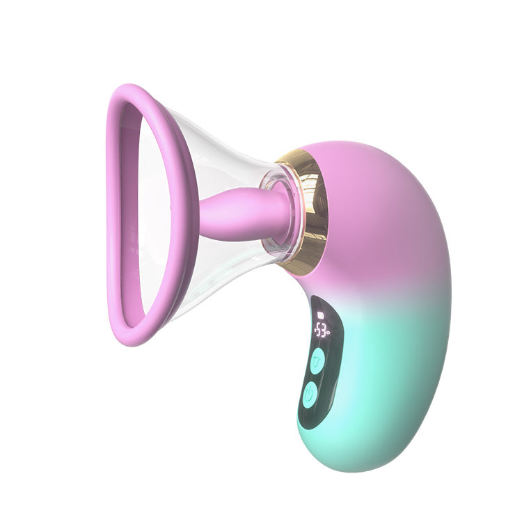 5-in-1 zuig vibrator met LCD-display